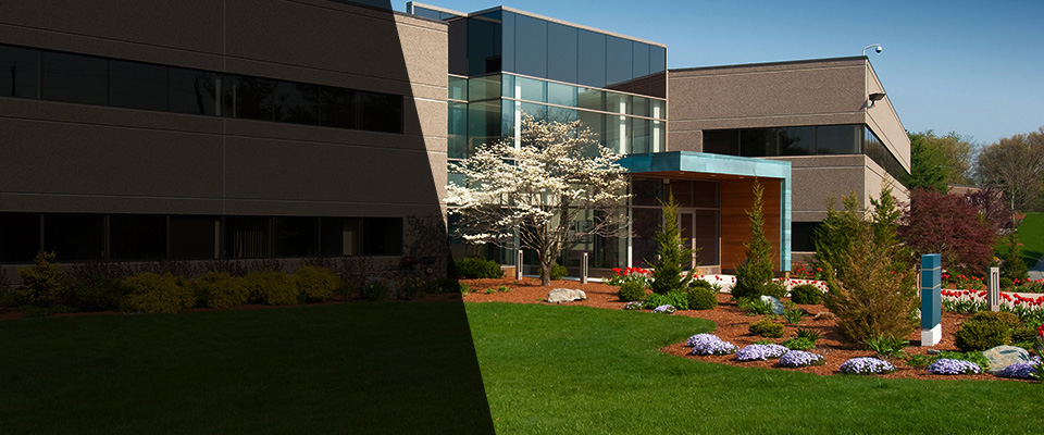 Snellville Landscapers