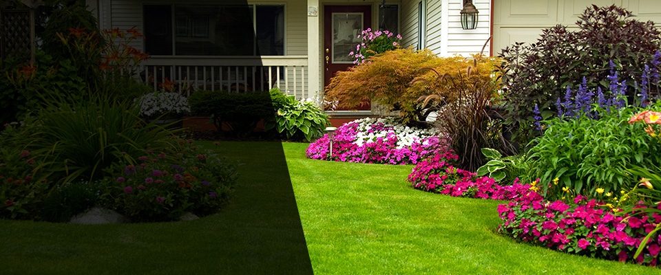 Snellville Landscapers