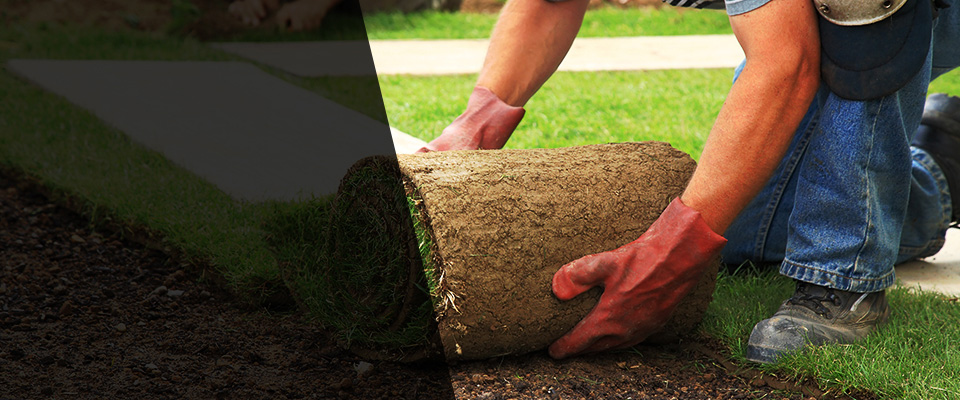 Snellville Landscapers